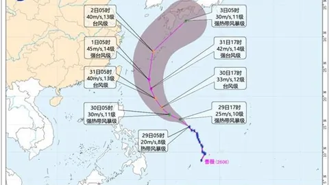 2026年能源涨势解析：温和反弹，未来趋势深度剖析